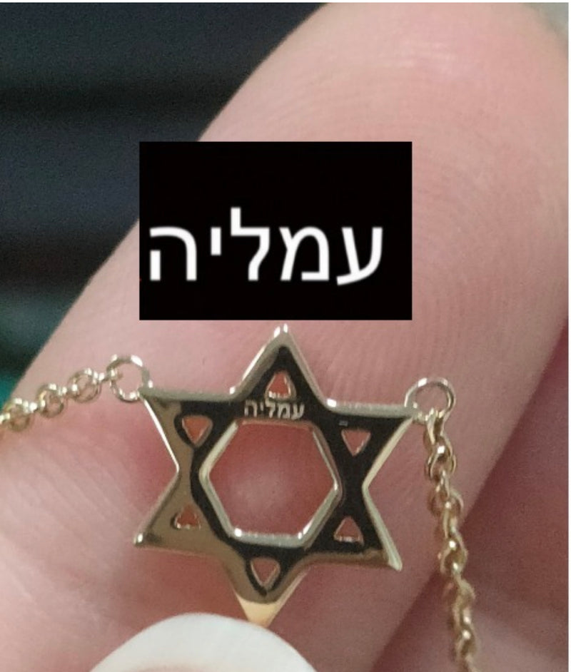 14k Yellow Gold Jewish Star of David Diamond Charm Necklace 14 16 18 20 for  Kids and Women Available in Yellow and Yellow Gold - Etsy Norway